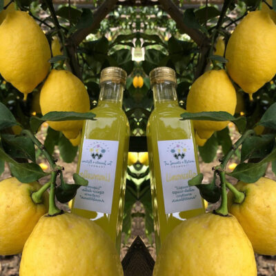 lemon-exp-1
